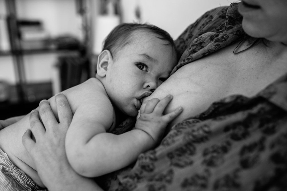 photographe allaitement