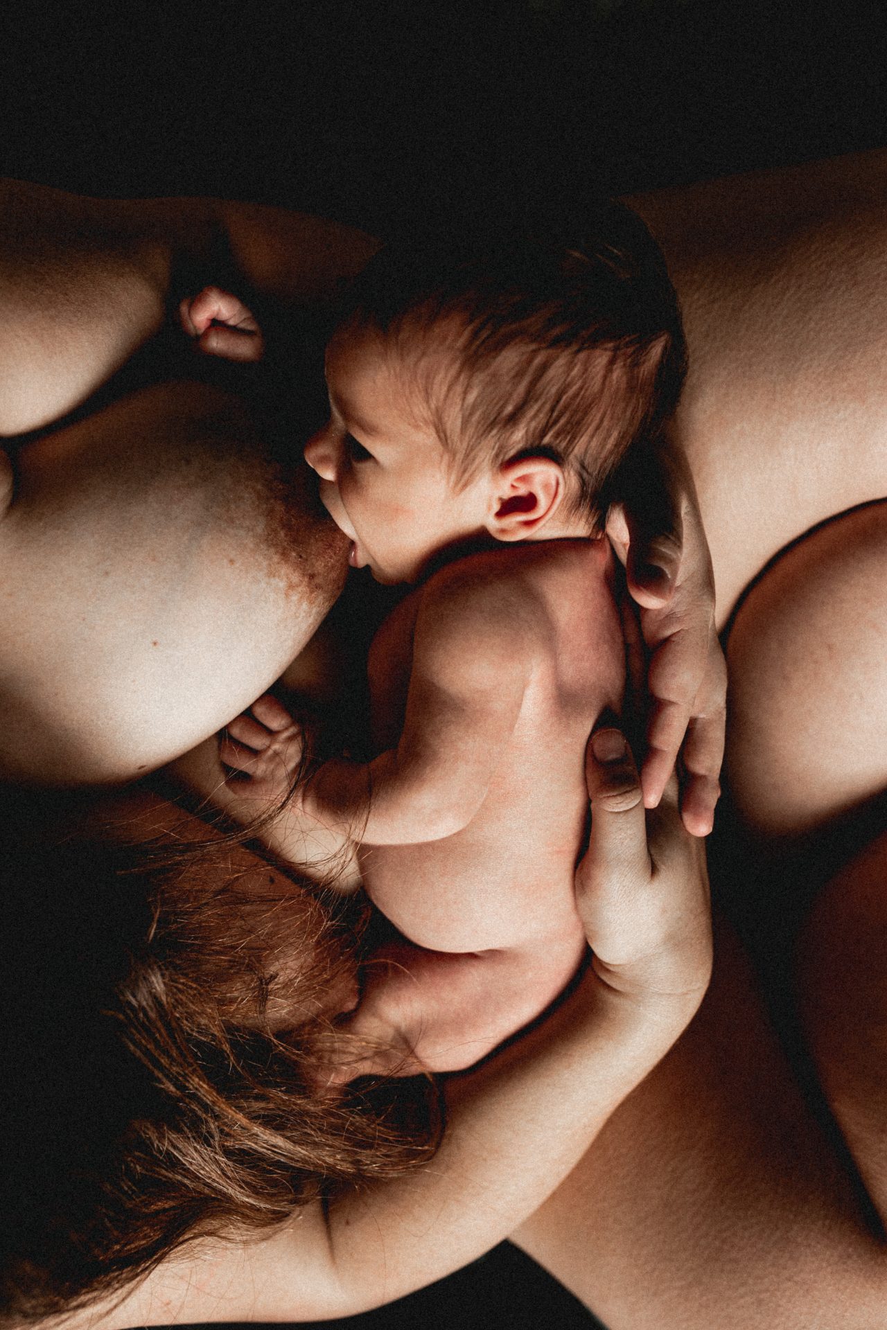 photographe bébé castres albi