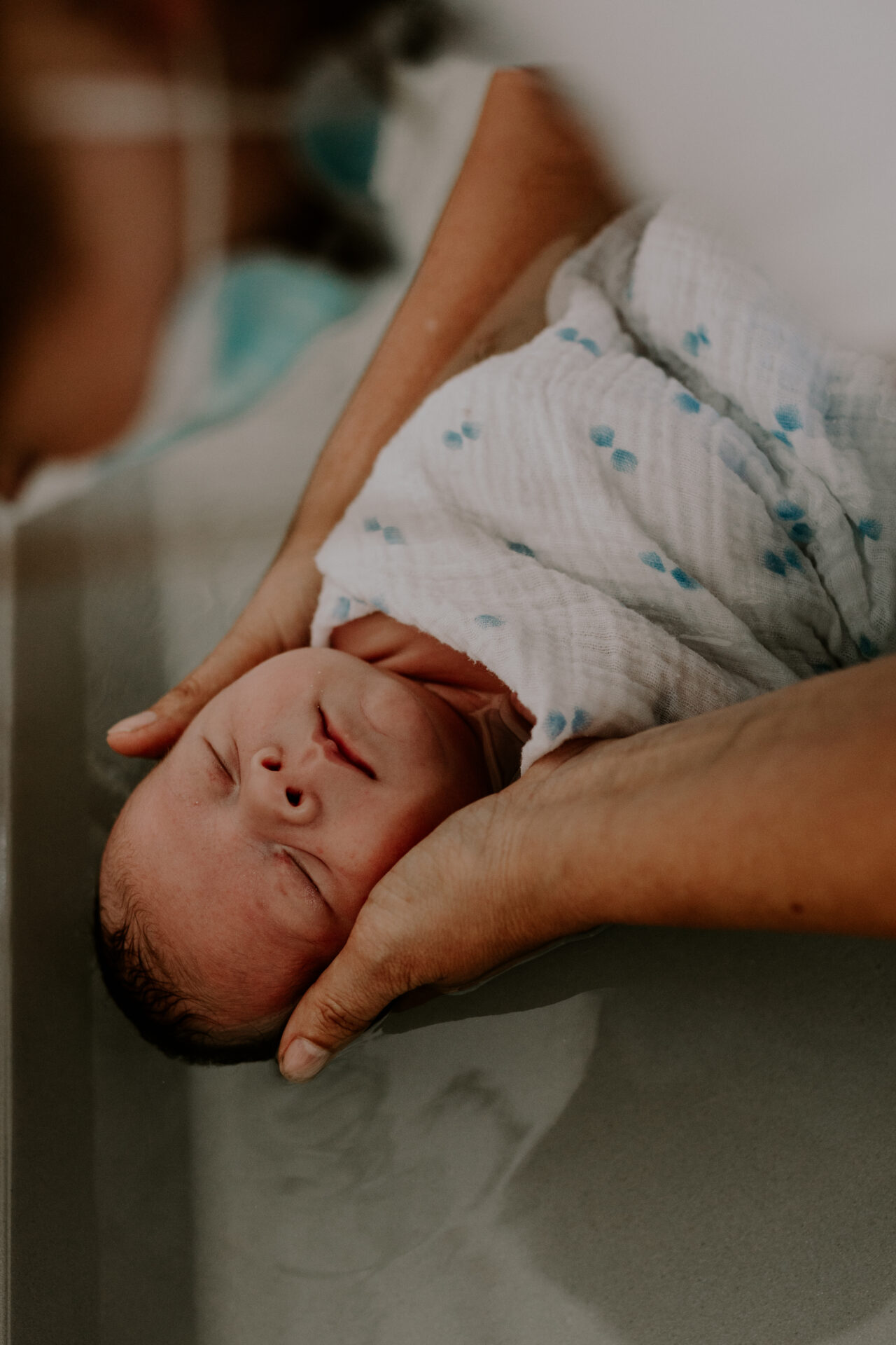 photographe bébé tarn albi castres