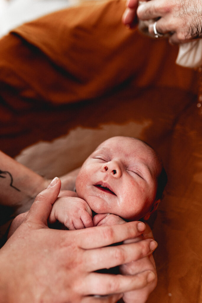 photographe bébé tarn albi castres
