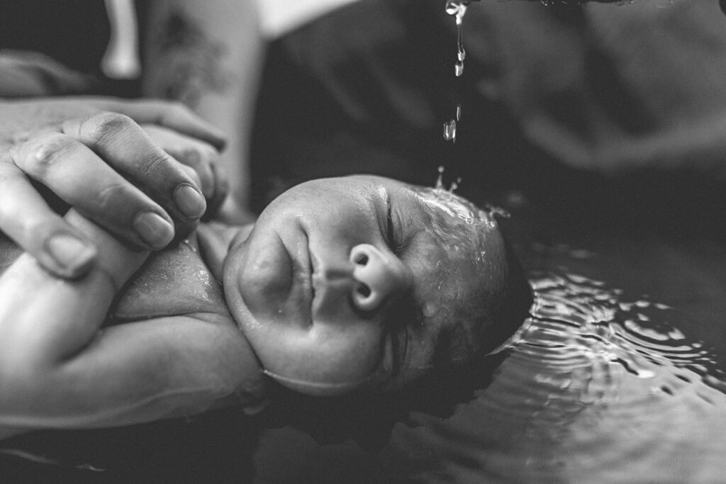 photographe bébé tarn albi castres