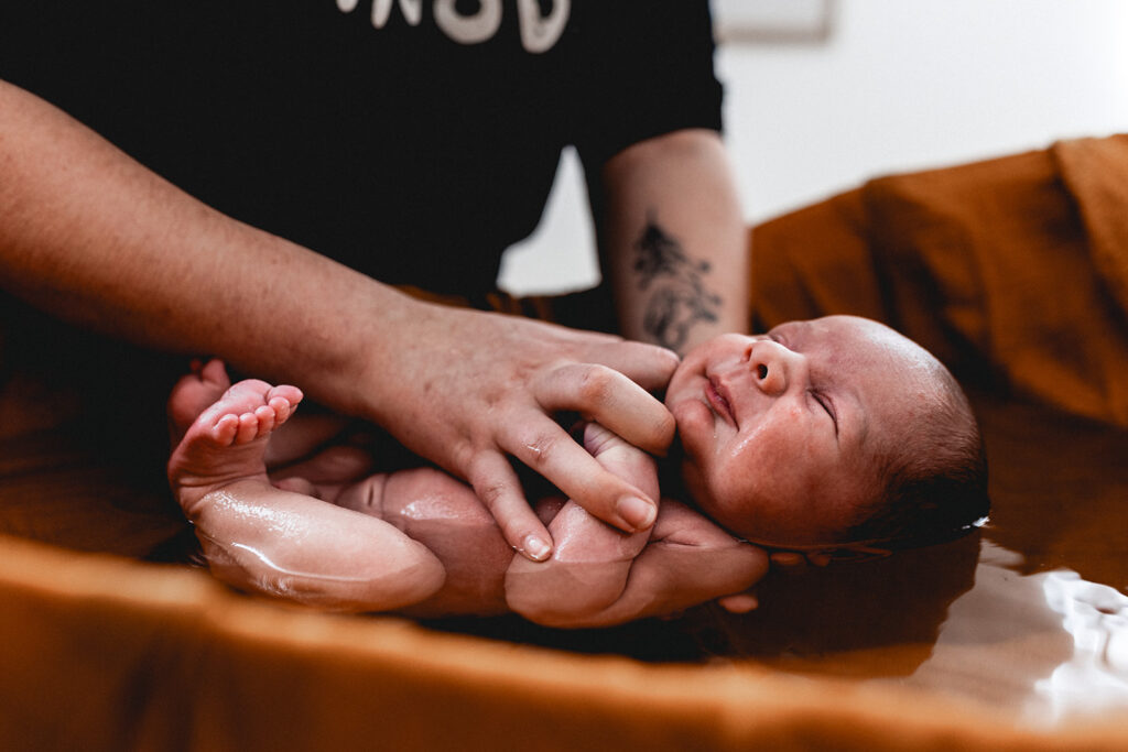 photographe bébé tarn albi castres